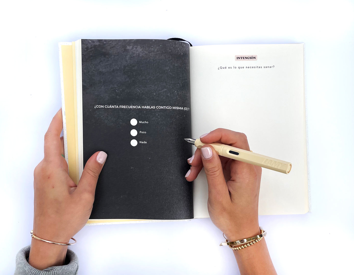 Journal Heridas de Infancia